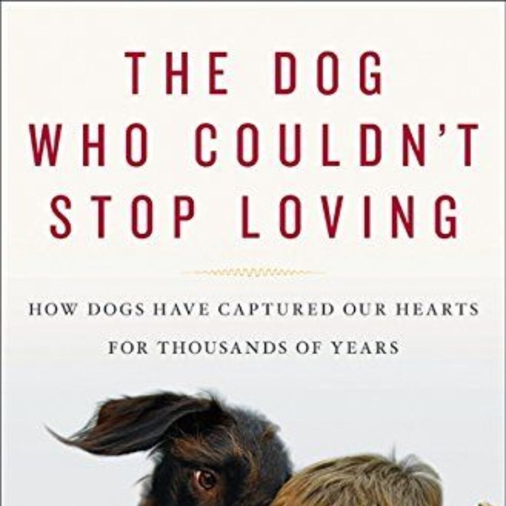 The Dog Who Couldn't Stop Loving: How Dogs Have Captured Our Hearts
